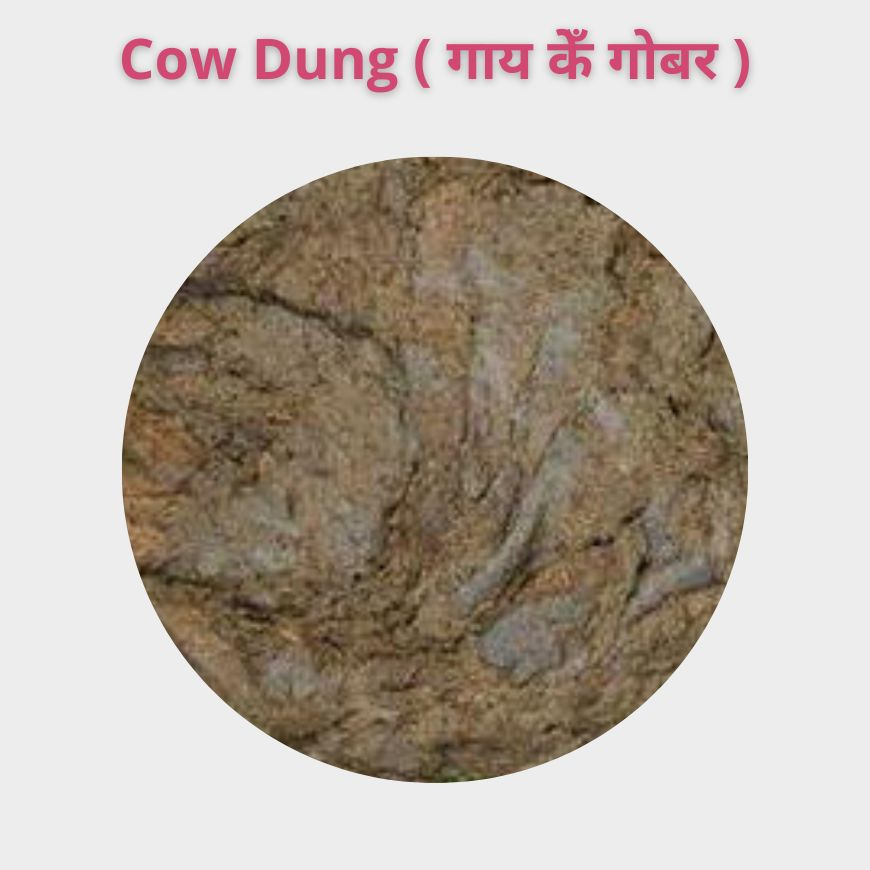 Gaay Gobar