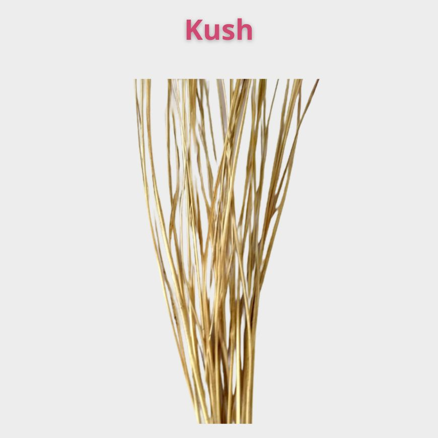 Kush