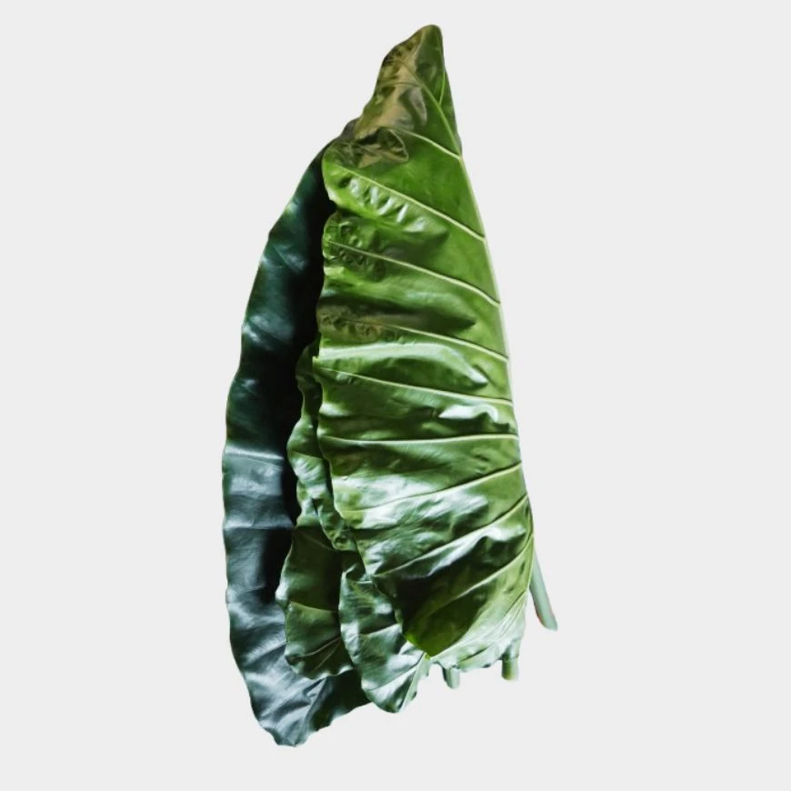 Mainak Paat Mankand Leaves